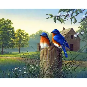 RUOPOTY 60x75 см Картина по номерам Рисунок птицы на холсте Картина по номерам Уникальный подарок Раскраска по номерам