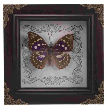 Образец бабочки в деревянной рамке Образец дисплея бабочки в рамке тени бабочки