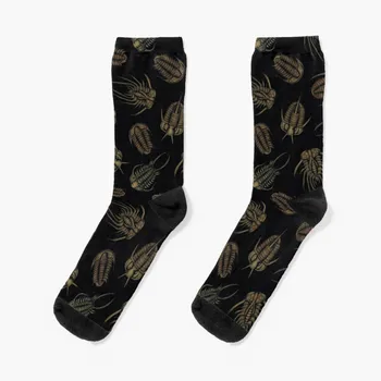Носки с рисунком трилобитов и морских окаменелостей, рождественские подарочные носки с подогревом для девочек, мужские носки