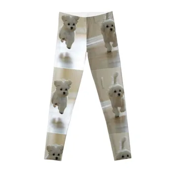 Леггинсы для собак с высокой талией Спортивные брюки женские расклешенные Женские Леггинсы
