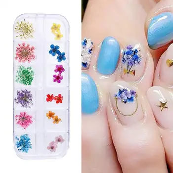 24шт/36шт 3D наклейки с сухими цветами Советы по оформлению ногтей в виде сухих цветов Инструменты для маникюра 
